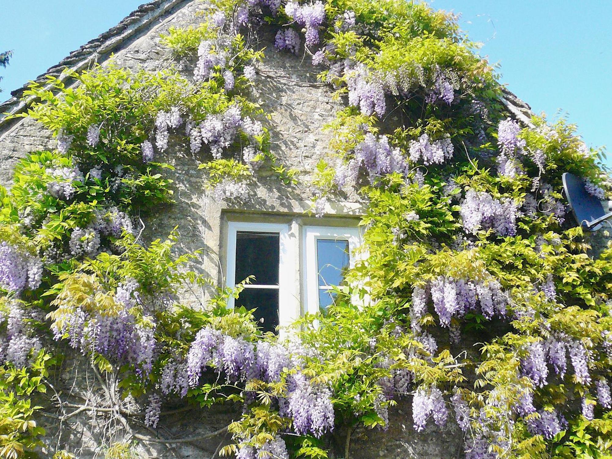 Ivy Cottage Chedworth Buitenkant foto